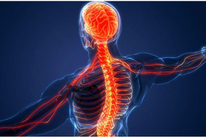 Sympathetic vs. Parasympathetic